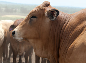 Με σύμμαχο την καινοτομία και την ενημέρωση, χτίζουμε μαζί τον κόσμο του αύριο.