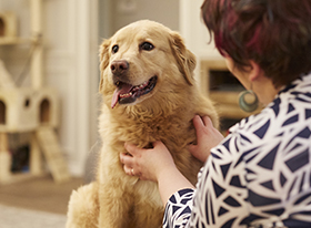 Καινοτόμος τεχνολογία τριπλής δράσης που στοχεύει την κακοσμία του στόματος